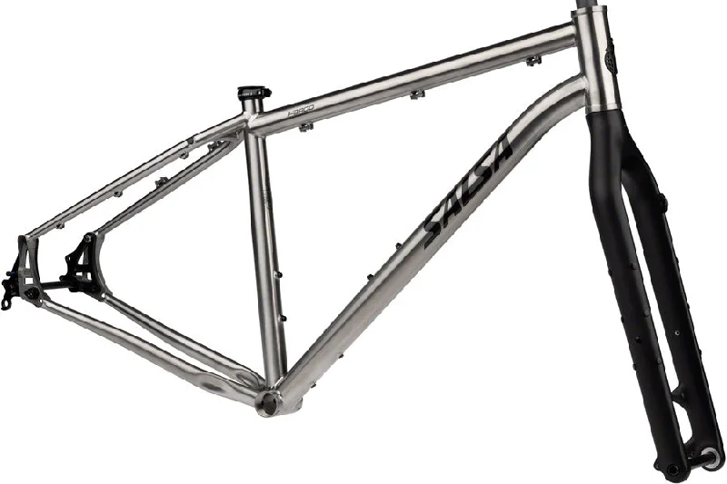 bicycle cleaner kit-Fargo Ti Frameset - Raw