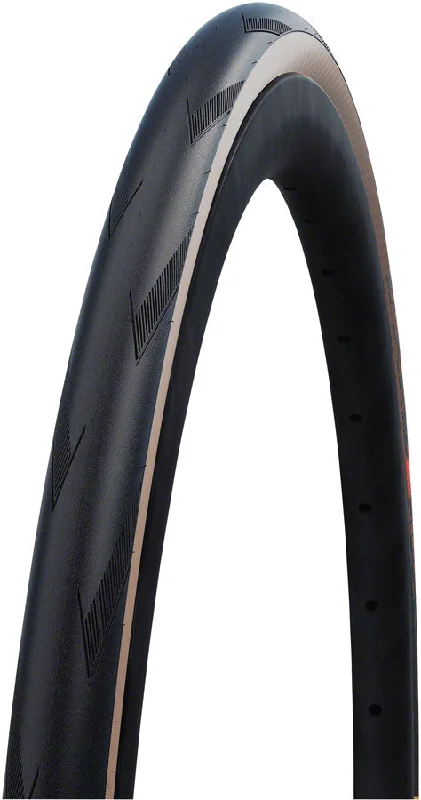 bicycle tire ply-Schwalbe Pro One Tire - 700 x 25 Clincher Folding BLK/Transparent Evolution Super Race Addix Race V-Guard