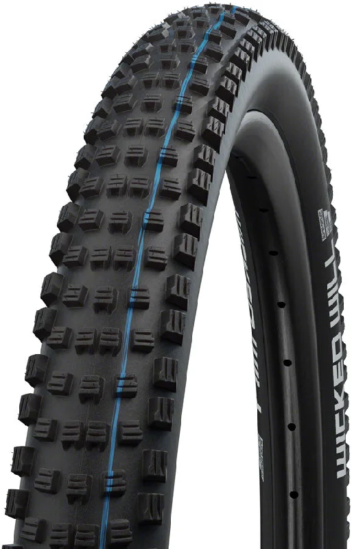 bicycle brake squeak-Schwalbe Wicked Will Tire - 29 x 2.6 Tubeless Folding BLK Evolution Line Super Ground Addix SpeedGrip